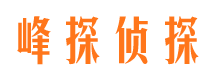 仙居市调查公司